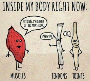 Joint Problem Meme Your body is a temple… so treat it like one – PURE HEALTH PERFORMANCE